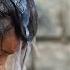 Cinematic Baby Shoot Shivrajyabhishek Yuvraj Deepak Kumar Photography