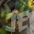 JEROME NO League Of Legends Too Bronze 5 Ep 2