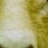 The KLF What Time Is Love Wandaful Mix