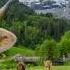 Summer In Switzerland High Season In The Bernese Oberland And Co