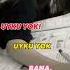 Lgs2024tayfa Lgs UYKU YOK BANAA