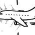 How Do Airplanes Fly