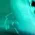 Ferry Corsten Live A State Of Trance 2025 Ahoy Rotterdam 21 02 2025