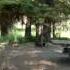 Thompson Falls State Park Campground Overview