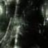 Paradise Lost As I Die Official Music Video