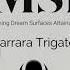 Q Series Carrara Trigato
