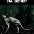 Книга Илая 2010 фильм фантастика фильм Reels кино юмор топ Film Video