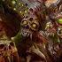 Diablo IV Belial S Return Gameplay Trailer