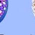 How Do Cancer Cells Behave Differently From Healthy Ones George Zaidan
