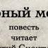 А П Чехов Черный монах повесть 1893г