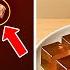 Eat THIS 1 Food Regain Leg Strength In Just 12 Hours Backed By Science Senior Health Tips