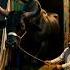 Big Bull Offloading For Qurbani 2025 Qurbani Ka Janwar Qurbani2025 BullVideo Offloading