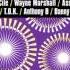 Diwali Riddim Mix Greensleeves 2002