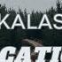 Freddy Kalas Vacation Lyrics