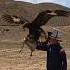 Hunting With Golden Eagle And Taigan Dog Halaltravel Kyrgyzstan Centralasia