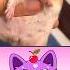 Laughing Hamster Hamsters Funnyhamster Hamstermeme Animals Funnyanimals Animalmemes Shorts