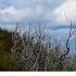 The BEST VIEWS In The Appalachian Trail Wayah Bald Lookout Tower North Carolina