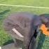 That TOUCH DESERVED A 10 Out Of 10 Nafisa Touch Firsttouch Pass Viralvideo Explorepage 10outof10
