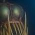 WALT DISNEY PICTURES AND PIXAR ANIMATION STUDIOS FINDING NEMO 2003 CLOSING