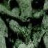 Blessed In Sin Children Of Tiamat