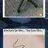 Somebody S Going To HELL For This