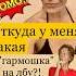 Так все таки гармошка или знания