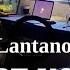 Lantano Аромат корицы на всех площадках по ссылке в описании
