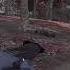 Pull The Trigger Fragmovie Dayz Kharon