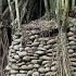 Building A Hidden Shelter By The Riverside Bamboo Roof And Fireplace Bushcraft Cooking