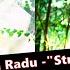 Doddy Feat Oana Radu Strig In Gura Mare DJ X KZ Dance Remix 2025