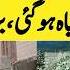 Government Destroyed Illegal Buildings In Islamabad Government Action Against Illegal Societies