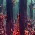 PLEXIGO Zappenduster Dark Forest Psytrance 6h Ritual DJ Set 2O22