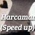 TNK Aşkı Harcamanın 80 Yolu Speed Up