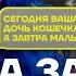 Мизулина и Собчак против Mia Boyka Конфликт из за квадроберов