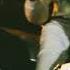 CMPG RICHO ROAD RAGE Dir By On It Leek2x