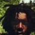 Peter Tosh Legalize It