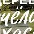 Жизнь в деревне сколько стоит каркасный дом как завести пчёл и содержать стаю хаски Sewera