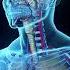 Bone Fractures How Long Do Fractures Take To Heal Health Guideline