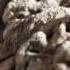 Brain From The Warship Vasa