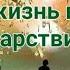 Новая песнь Богу Новая жизнь в Новом Царствии 22 06 23г Апостол Слова