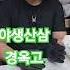 산삼 경옥고 환 만들고 있네요 약초산행 님아그강을건너지마오 산삼경옥고