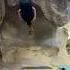 Awesome Dyno By Allison Vest Follow For More Climbing
