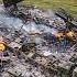 BREAKING Russia S Iskander M Destroys U S Made Patriot System In Ukraine