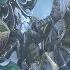Warcraft 3 Reforged Arthas VS Illidan CUTSCENE