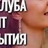 ЛЮБОВНАЯ ЛОДКА ВЫДЕРЖИТ ЛИ ОНА БУРЮ ИСТОРИЯ ПРО ИЗМЕНЫ И ЛЮБОВНИКОВ СЕЗОН ДОЖДЕЙ ВСЕ СЕРИИ