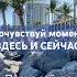 Медитация момент здесь и сейчас осознанность настоящиймомент здесьисейчас