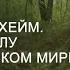 О мире Ванахейм Где брать силу в человеческом мире