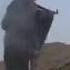 The Undefeatable Nation Of The World Afghan Taliban Shorts Taliban Viral