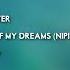 Skyhunter Queen Of My Dreams Nipika Remix