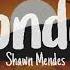 Shawn Mendes Wonder Lyric Video